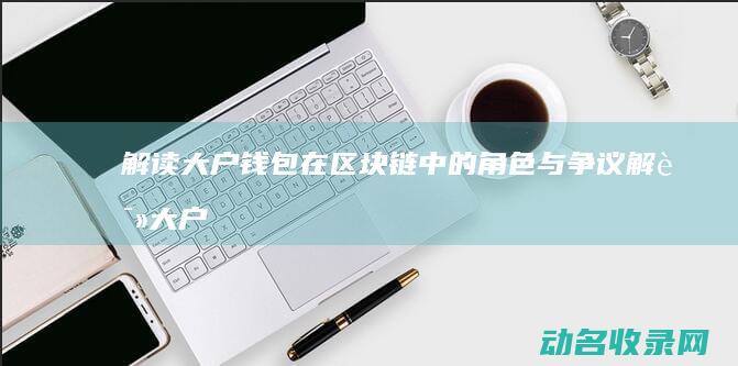 解读大户钱包在区块链中的角色与争议 (解读大户钱包视频)
